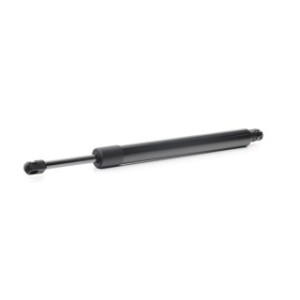Tailgate Strut - RIDEX 219G0883