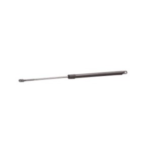 Tailgate Strut - RIDEX 219G0884
