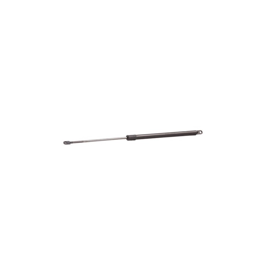Tailgate Strut - RIDEX 219G0884