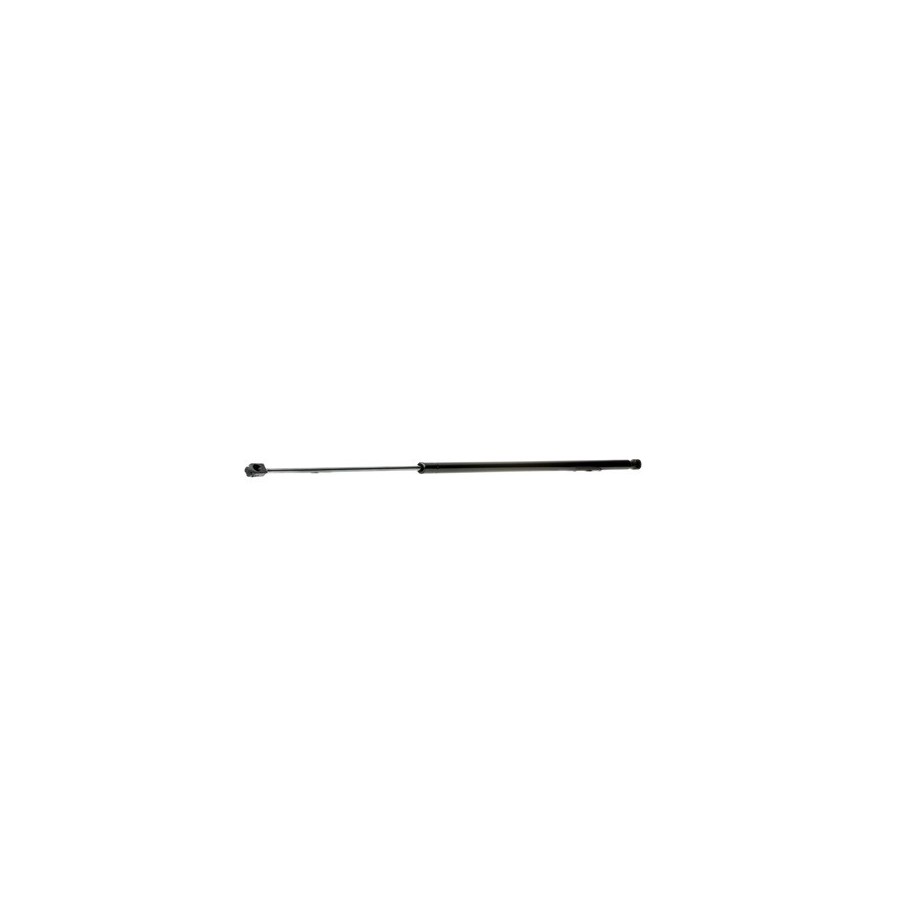 Tailgate Strut - RIDEX 219G0886
