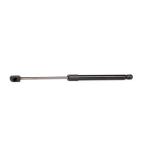 Tailgate Strut - RIDEX 219G0887