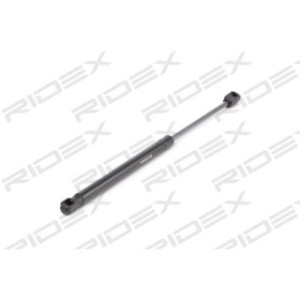 Tailgate Strut - RIDEX 219G0887