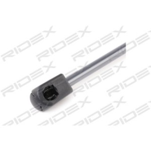 Tailgate Strut - RIDEX 219G0887