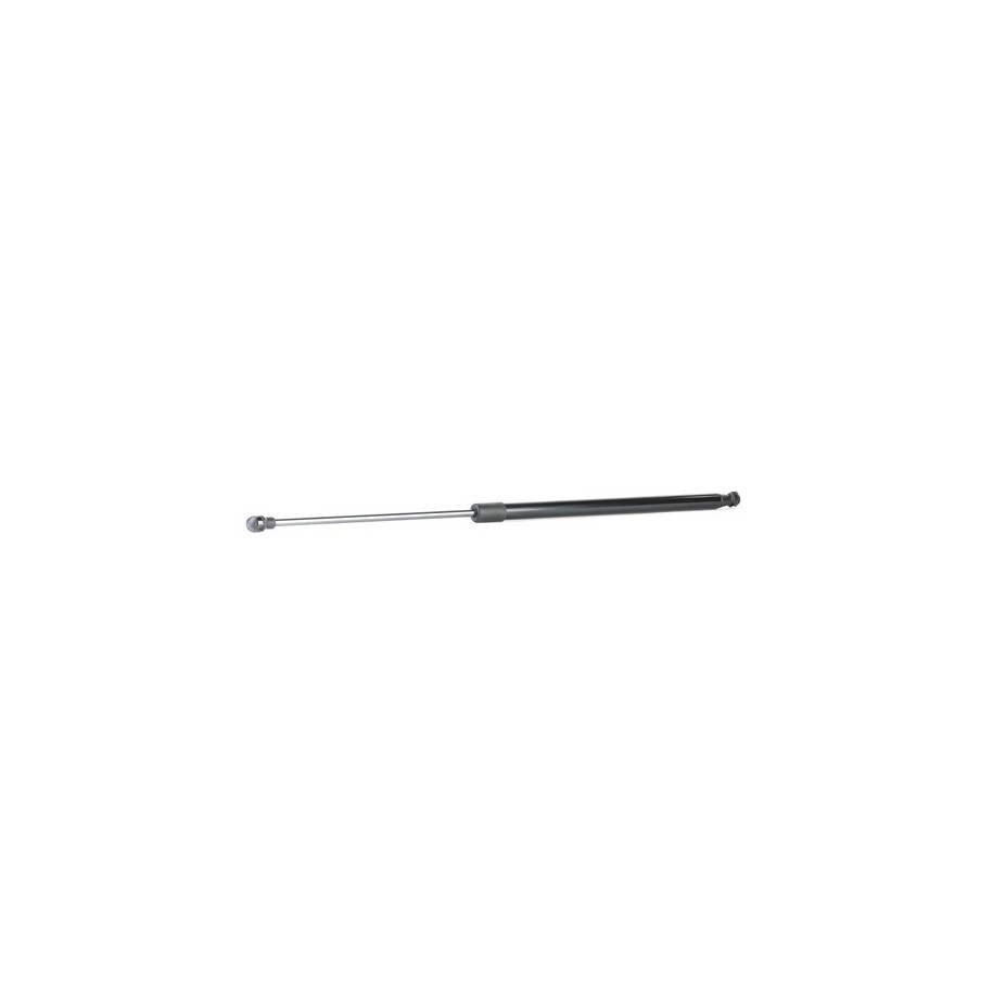 Tailgate Strut - RIDEX 219G0888