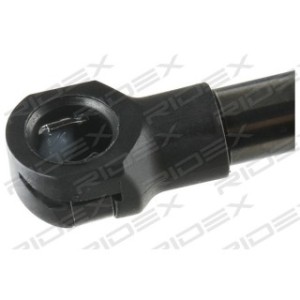 Tailgate Strut - RIDEX 219G0889