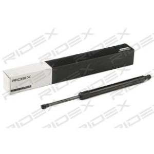 Tailgate Strut - RIDEX 219G0889