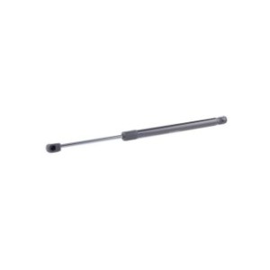 Tailgate Strut - RIDEX 219G0890