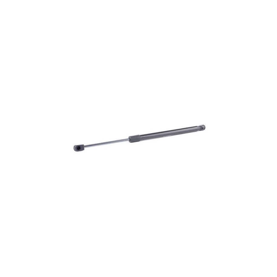 Tailgate Strut - RIDEX 219G0890