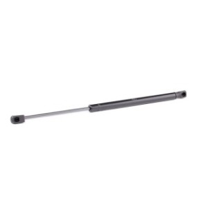 Tailgate Strut - RIDEX 219G0892