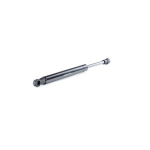 Tailgate Strut - RIDEX 219G0893