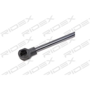 Tailgate Strut - RIDEX 219G0893