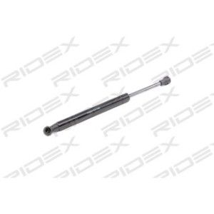 Tailgate Strut - RIDEX 219G0893