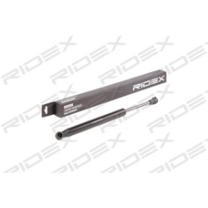 Tailgate Strut - RIDEX 219G0893