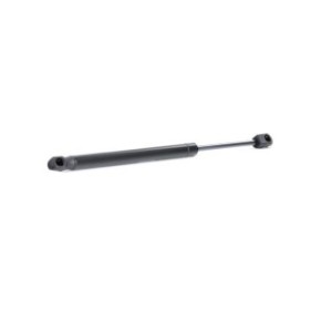 Tailgate Strut - RIDEX 219G0895