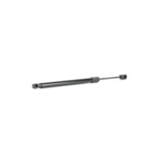 Tailgate Strut - RIDEX 219G0896