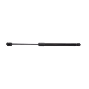 Tailgate Strut - RIDEX 219G0897