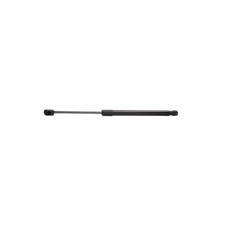 Tailgate Strut - RIDEX 219G0897