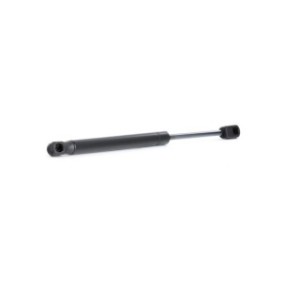 Tailgate Strut - RIDEX 219G0898