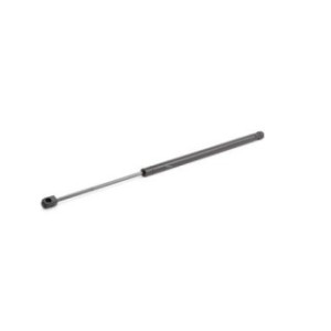 Tailgate Strut - RIDEX 219G0900