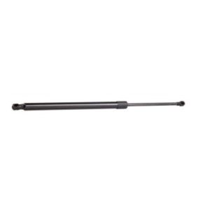 Tailgate Strut - RIDEX 219G0901