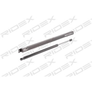 Tailgate Strut - RIDEX 219G0902