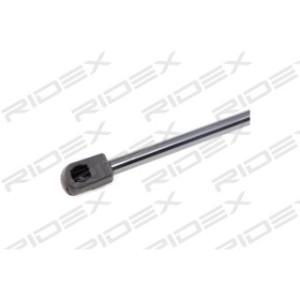 Tailgate Strut - RIDEX 219G0902