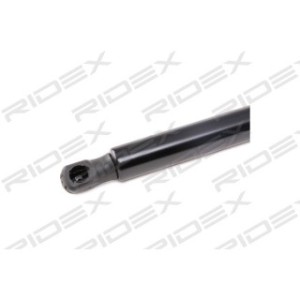 Tailgate Strut - RIDEX 219G0902