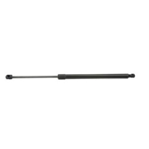 Tailgate Strut - RIDEX 219G0903
