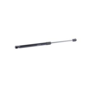 Tailgate Strut - RIDEX 219G0904