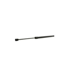 Tailgate Strut - RIDEX 219G0905