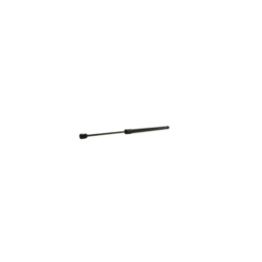 Tailgate Strut - RIDEX 219G0905