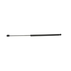 Tailgate Strut - RIDEX 219G0906