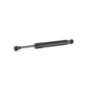 Tailgate Strut - RIDEX 219G0907
