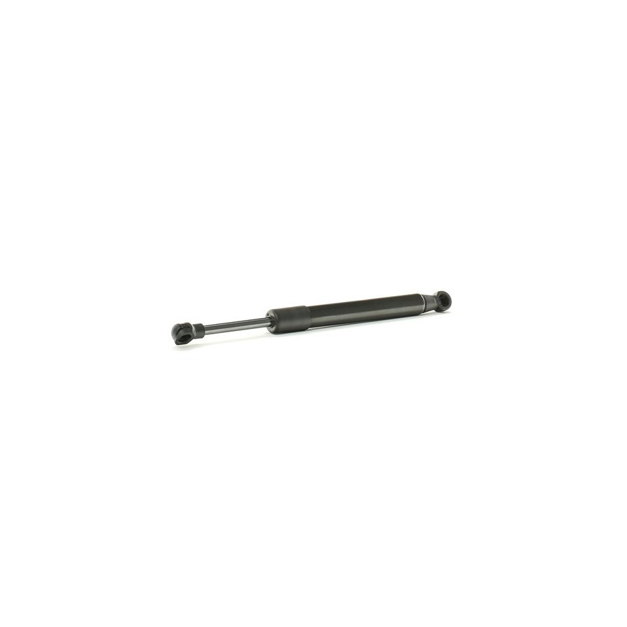 Tailgate Strut - RIDEX 219G0907