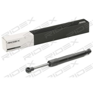 Tailgate Strut - RIDEX 219G0907