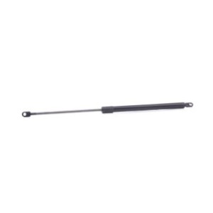 Tailgate Strut - RIDEX 219G0908