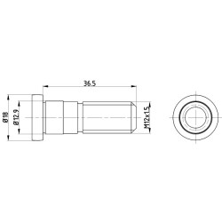 Brake Disc Bolt MINTEX TPM0019 6586310