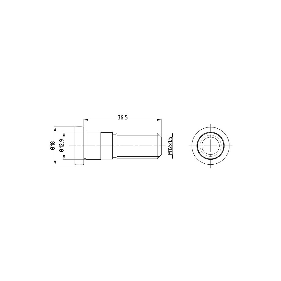 Brake Disc Bolt MINTEX TPM0019 6586310
