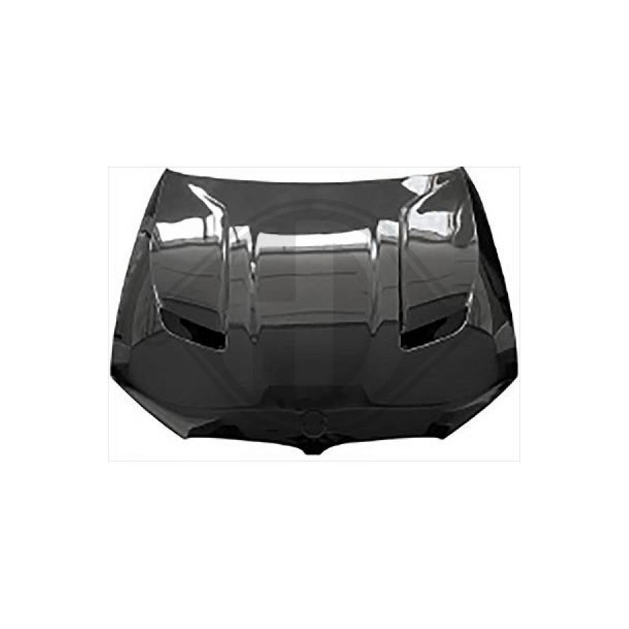 Bonnet DIEDERICHS 1226500 for BMW 5
