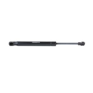 Bonnet Gas Spring - RIDEX 514G0134