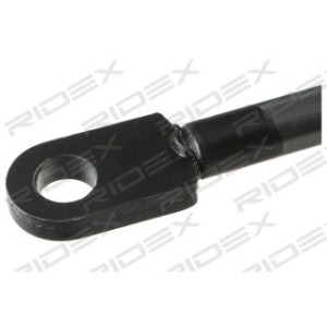Bonnet Gas Spring - RIDEX 514G0141