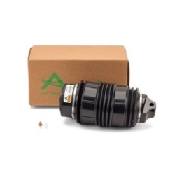 Suspension Air Spring ARNOTT A-2725 for MERCEDES CLS