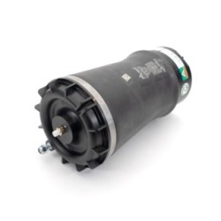 Suspension Air Spring ARNOTT A-4008 for DODGE