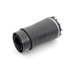Suspension Air Spring ARNOTT A-4008 for DODGE