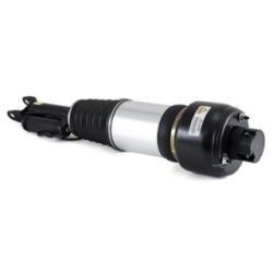 Air Suspension Strut ARNOTT AS-2246 for MERCEDES CLS