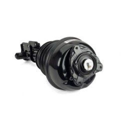 Air Suspension Strut ARNOTT AS-3238 for MERCEDES CLS
