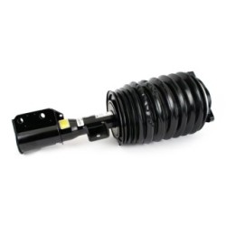 Air Suspension Strut ARNOTT AS-3898 for MERCEDES CLS