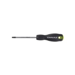T30 X 100mm Torx Screwdriver