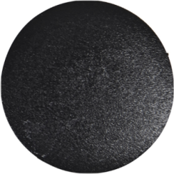 Fir Tree Long Stem Black