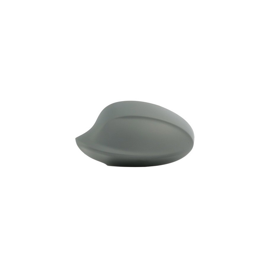 Exterior Mirror Cover - RIDEX 23A0106